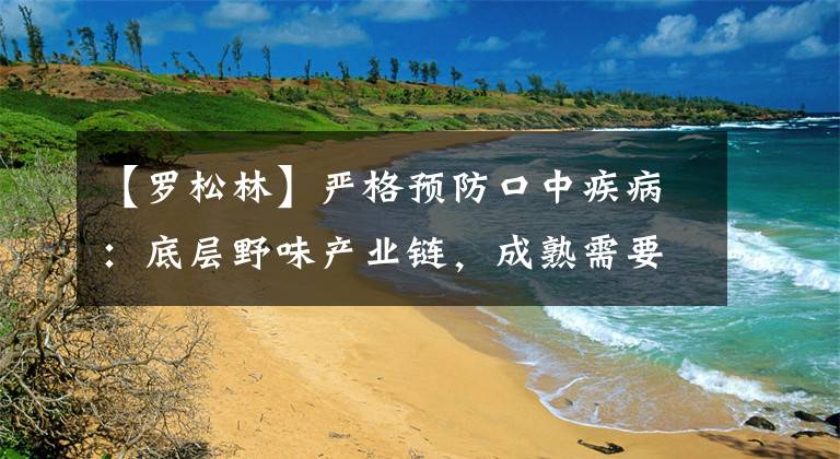 【罗松林】严格预防口中疾病：底层野味产业链，成熟需要重拳。