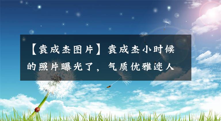 【袁成杰图片】袁成杰小时候的照片曝光了，气质优雅迷人，原来她美了半辈子！