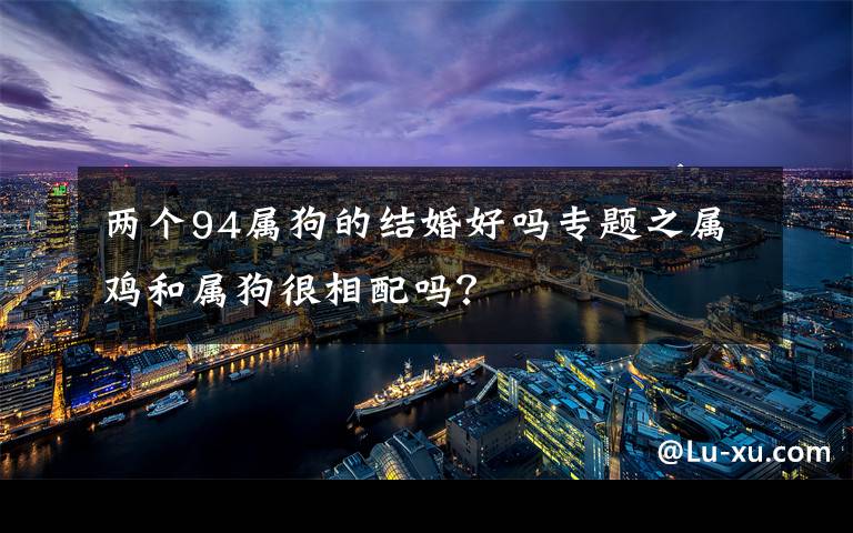两个94属狗的结婚好吗专题之属鸡和属狗很相配吗？