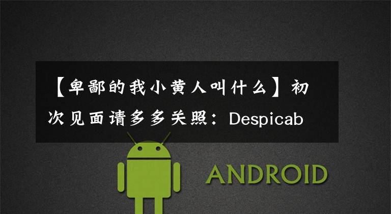 【卑鄙的我小黄人叫什么】初次见面请多多关照：Despicable  Me  2火灾版小黄人