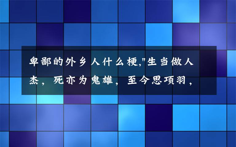 卑鄙的外乡人什么梗,