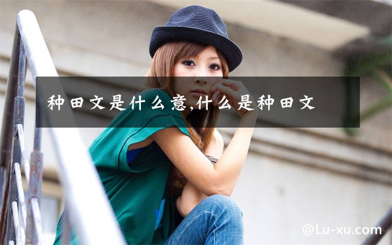 种田文是什么意,什么是种田文