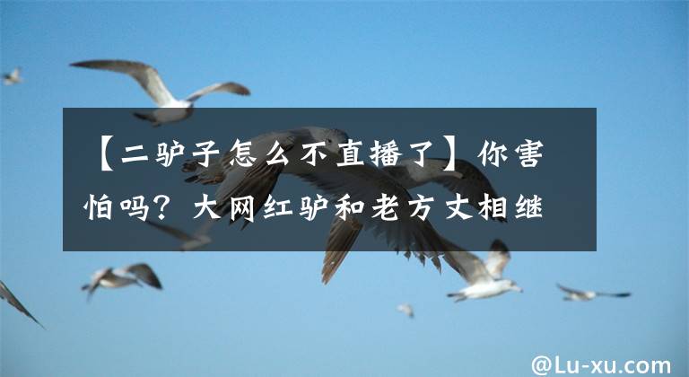 【二驴子怎么不直播了】你害怕吗？大网红驴和老方丈相继宣布“停播”，网友：避避风头。