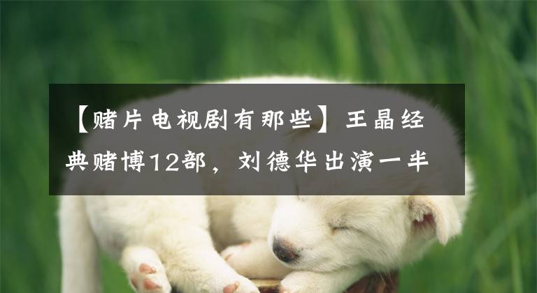 【赌片电视剧有那些】王晶经典赌博12部，刘德华出演一半，周润发创造了两届票房神话。