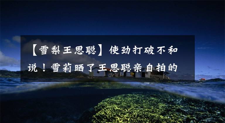 【雪梨王思聪】使劲打破不和说！雪莉晒了王思聪亲自拍的买家秀，他的丈夫公开表示感谢。