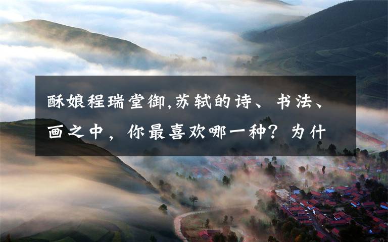 酥娘程瑞堂御,苏轼的诗、书法、画之中，你最喜欢哪一种？为什么？
