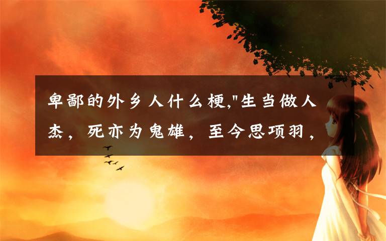 卑鄙的外乡人什么梗,