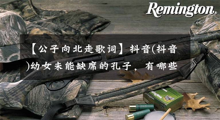 【公子向北走歌词】抖音(抖音)幼女未能缺席的孔子，有哪些歌孔子去了北方，歌词是谁唱的？