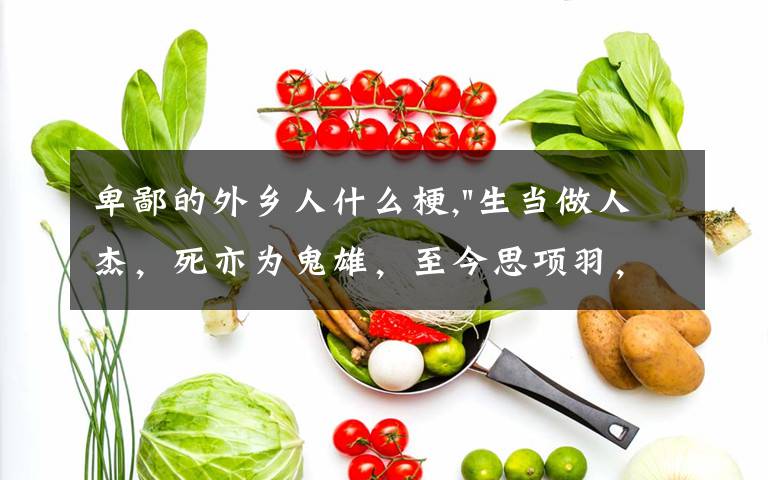 卑鄙的外乡人什么梗,