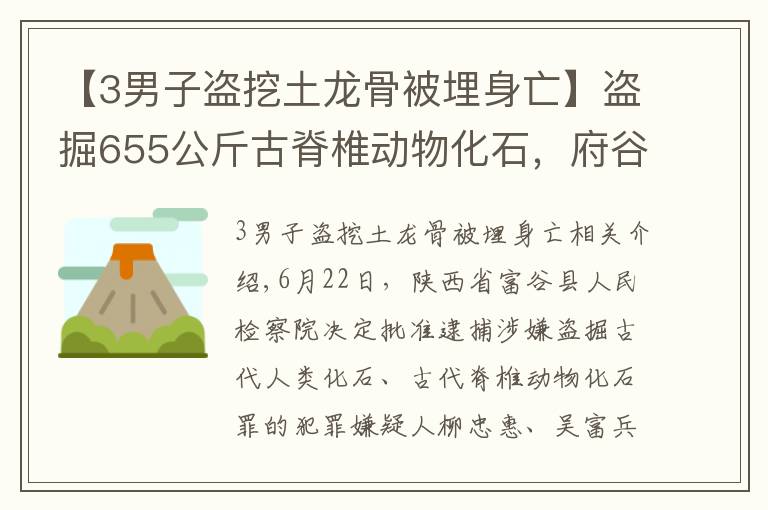 【3男子盗挖土龙骨被埋身亡】盗掘655公斤古脊椎动物化石，府谷县检察院对刘忠惠、吴富兵、张利平批准逮捕