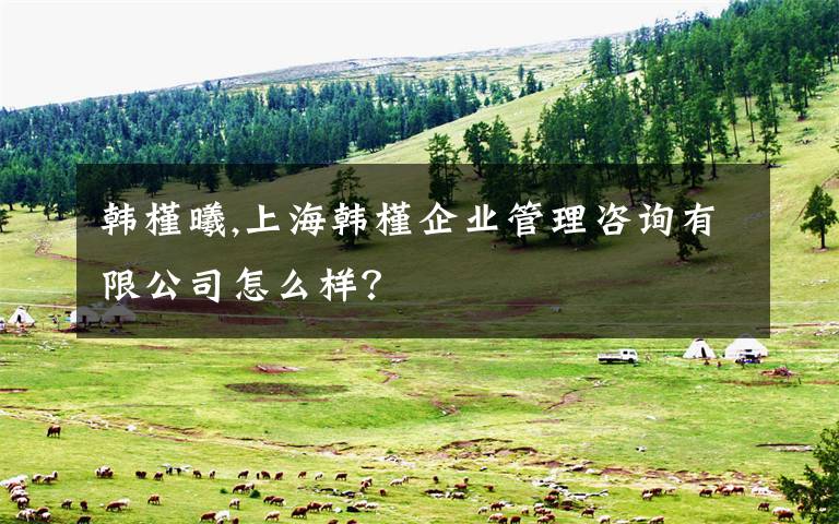 韩槿曦,上海韩槿企业管理咨询有限公司怎么样？