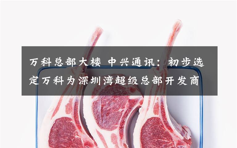 万科总部大楼 中兴通讯：初步选定万科为深圳湾超级总部开发商