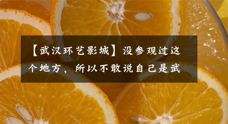【武汉环艺影城】没参观过这个地方，所以不敢说自己是武汉人，两年后她又回来了！