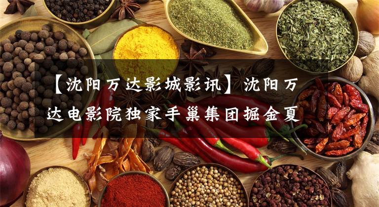 【沈阳万达影城影讯】沈阳万达电影院独家手巢集团掘金夏季档案