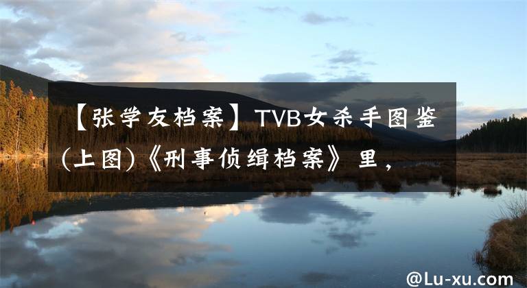 【张学友档案】TVB女杀手图鉴(上图)《刑事侦缉档案》里，他们是玫瑰色挽歌。