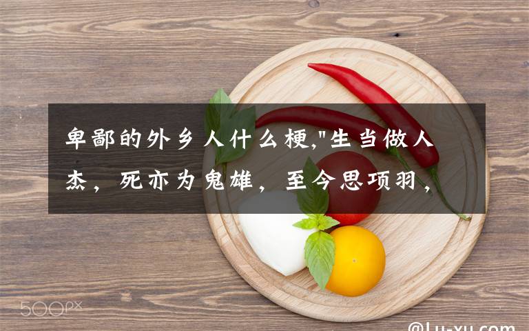 卑鄙的外乡人什么梗,