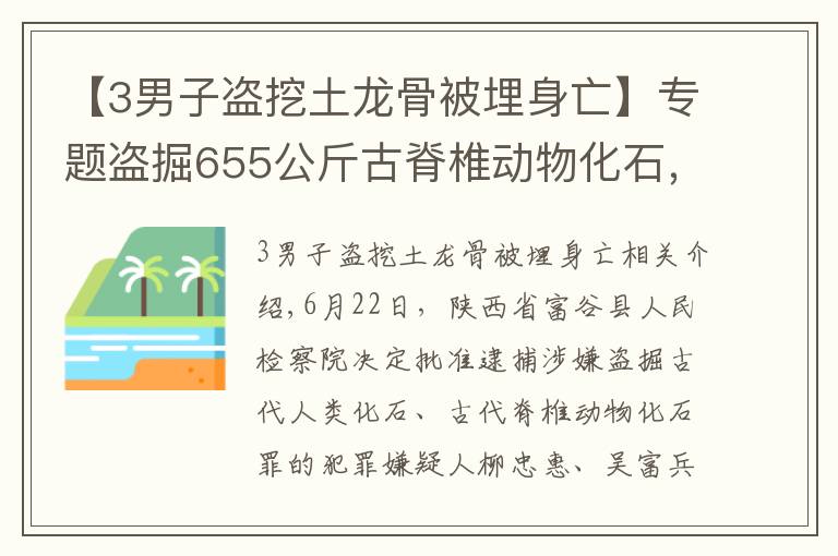 【3男子盗挖土龙骨被埋身亡】专题盗掘655公斤古脊椎动物化石，府谷县检察院对刘忠惠、吴富兵、张利平批准逮捕