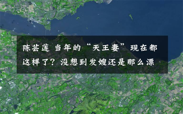 陈芸莲 当年的“天王妻”现在都这样了？没想到发嫂还是那么漂亮！