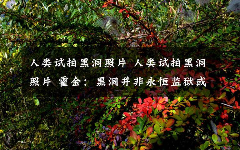 人类试拍黑洞照片 人类试拍黑洞照片 霍金：黑洞并非永恒监狱或通往另一宇宙
