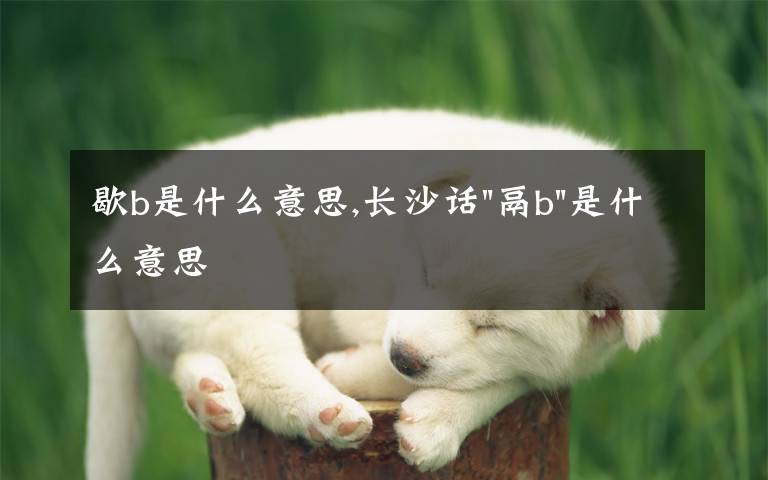 歇b是什么意思,长沙话