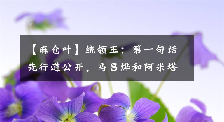 【麻仓叶】统领王：第一句话先行道公开，马昌烨和阿米塔桓见面，播出愚人节
