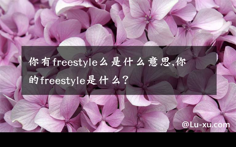 你有freestyle么是什么意思,你的freestyle是什么？