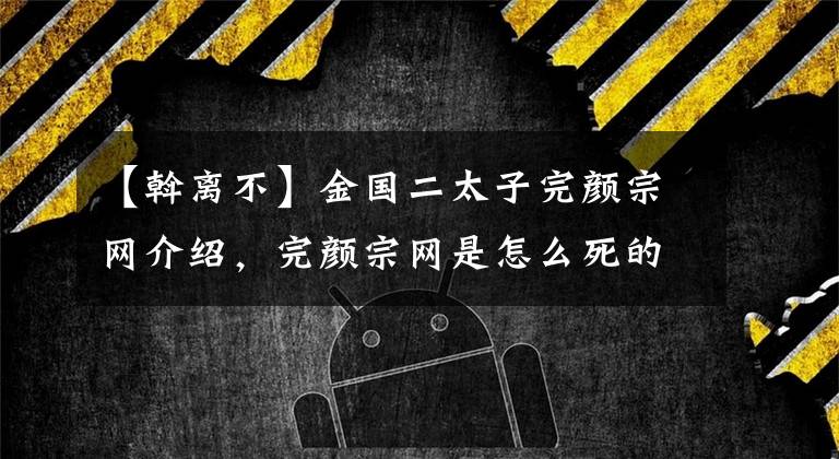 【斡离不】金国二太子完颜宗网介绍，完颜宗网是怎么死的？