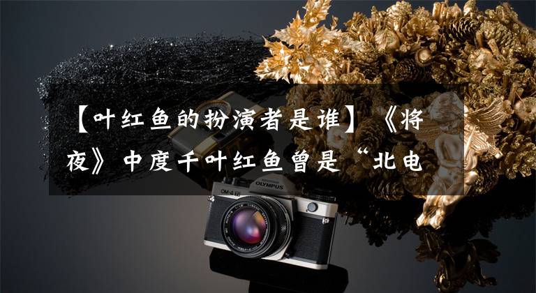 【叶红鱼的扮演者是谁】《将夜》中度千叶红鱼曾是“北电校花”，衣着朴素，不甜不腻。