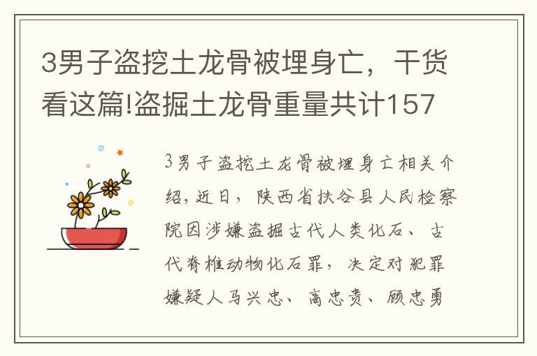 3男子盗挖土龙骨被埋身亡，干货看这篇!盗掘土龙骨重量共计157公斤，府谷县检察院对马兴忠等7人批准逮捕