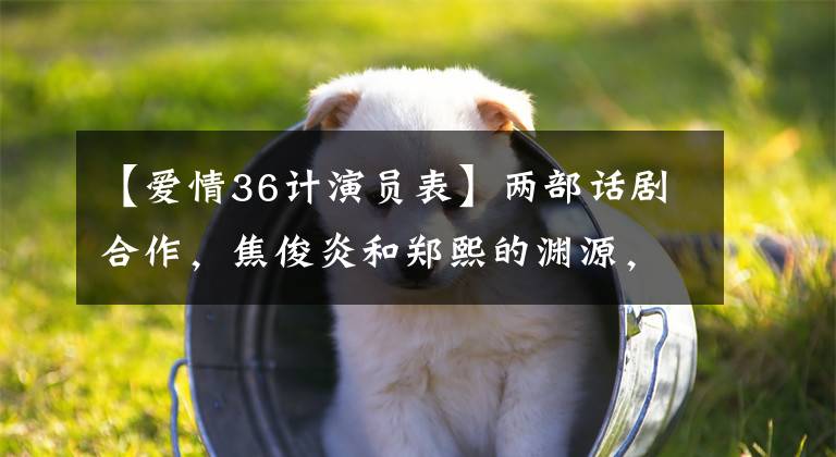 【爱情36计演员表】两部话剧合作，焦俊炎和郑熙的渊源，情敌和继母之间的自由转换。