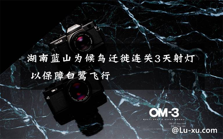 湖南蓝山为候鸟迁徙连关3天射灯 以保障白鹭飞行