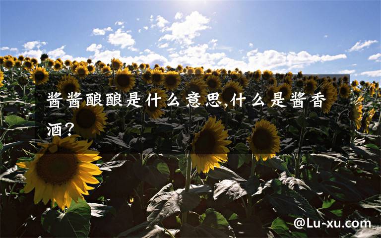 酱酱酿酿是什么意思,什么是酱香酒？