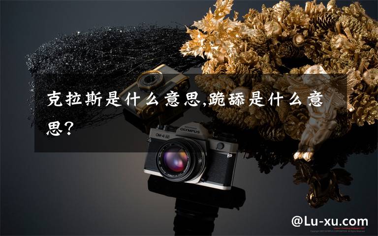 克拉斯是什么意思,跪舔是什么意思？