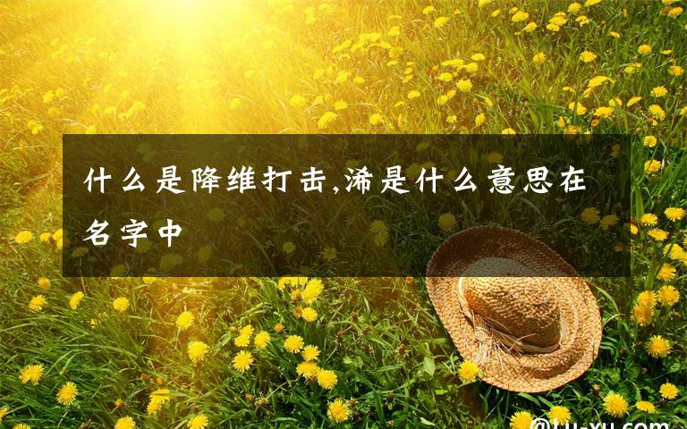 什么是降维打击,浠是什么意思在名字中