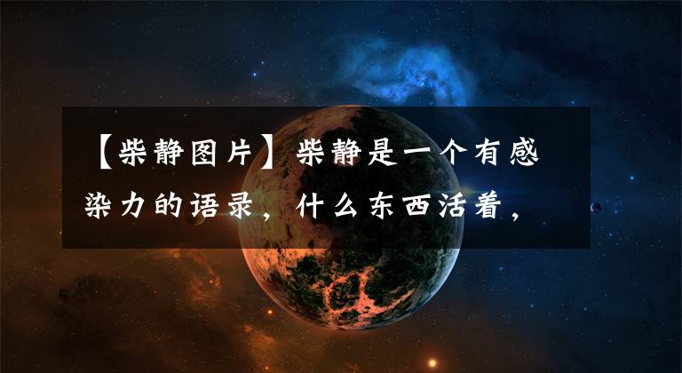 【柴静图片】柴静是一个有感染力的语录，什么东西活着，让世界警觉！