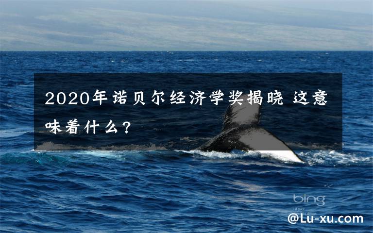 2020年诺贝尔经济学奖揭晓 这意味着什么?