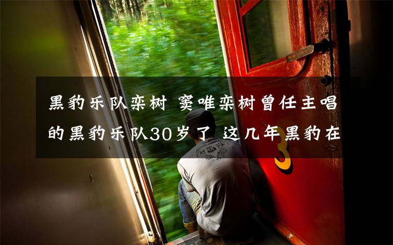 黑豹乐队栾树 窦唯栾树曾任主唱的黑豹乐队30岁了 这几年黑豹在做什么？
