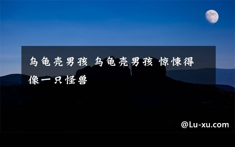 乌龟壳男孩 乌龟壳男孩 惊悚得像一只怪兽
