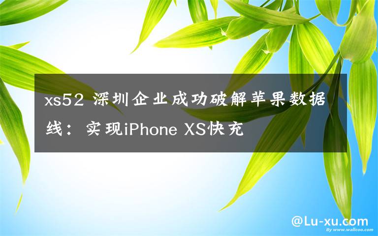 xs52 深圳企业成功破解苹果数据线：实现iPhone XS快充