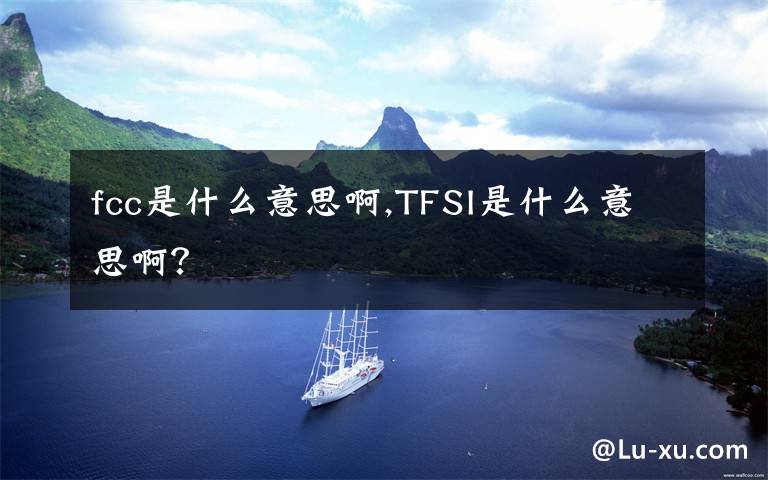 fcc是什么意思啊,TFSI是什么意思啊？