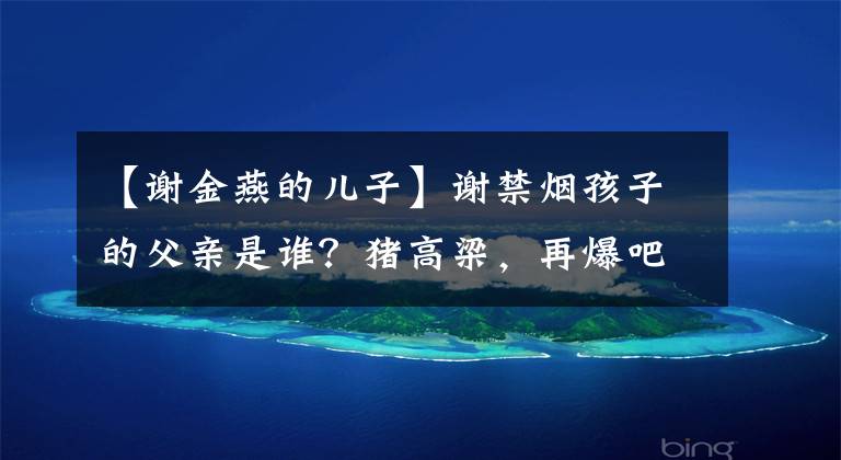 【谢金燕的儿子】谢禁烟孩子的父亲是谁？猪高梁，再爆吧，大儿子早就知道了。