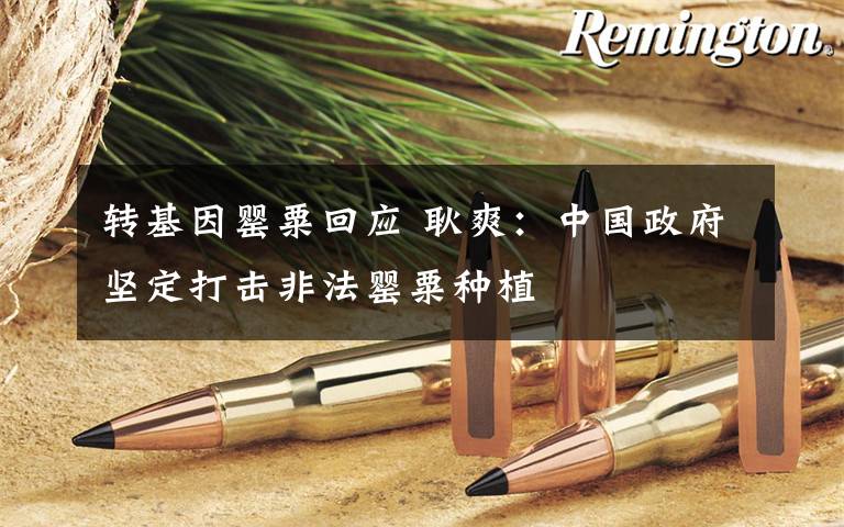 转基因罂粟回应 耿爽：中国政府坚定打击非法罂粟种植