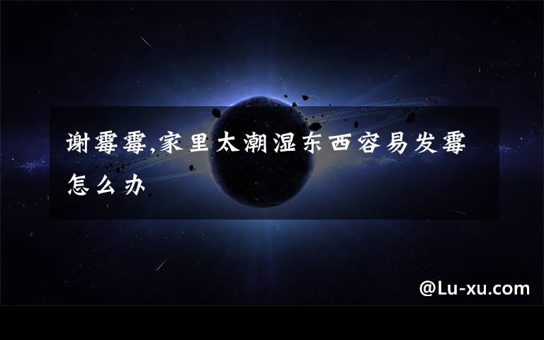 谢霉霉,家里太潮湿东西容易发霉怎么办