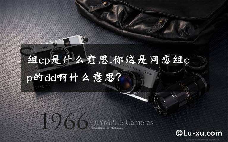 组cp是什么意思,你这是网恋组cp的dd啊什么意思？