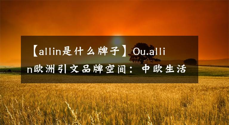 【allin是什么牌子】Ou.allin欧洲引文品牌空间：中欧生活美学再现