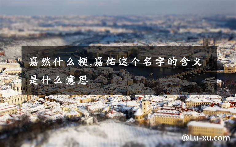 嘉然什么梗,嘉佑这个名字的含义是什么意思