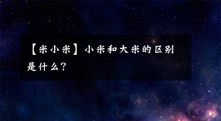 【米小米】小米和大米的区别是什么？