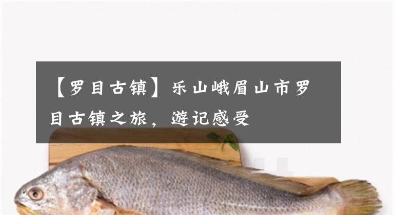 【罗目古镇】乐山峨眉山市罗目古镇之旅，游记感受
