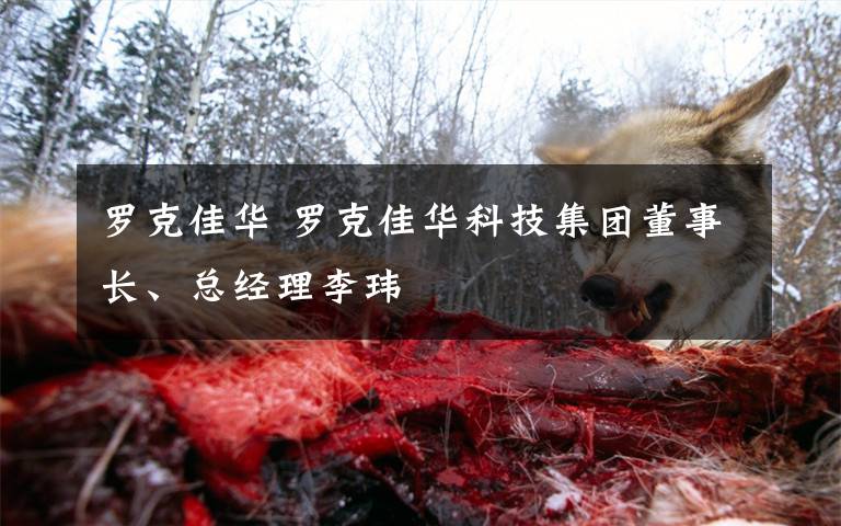 罗克佳华 罗克佳华科技集团董事长、总经理李玮