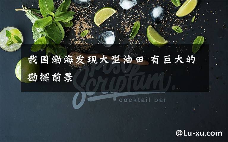 我国渤海发现大型油田 有巨大的勘探前景
